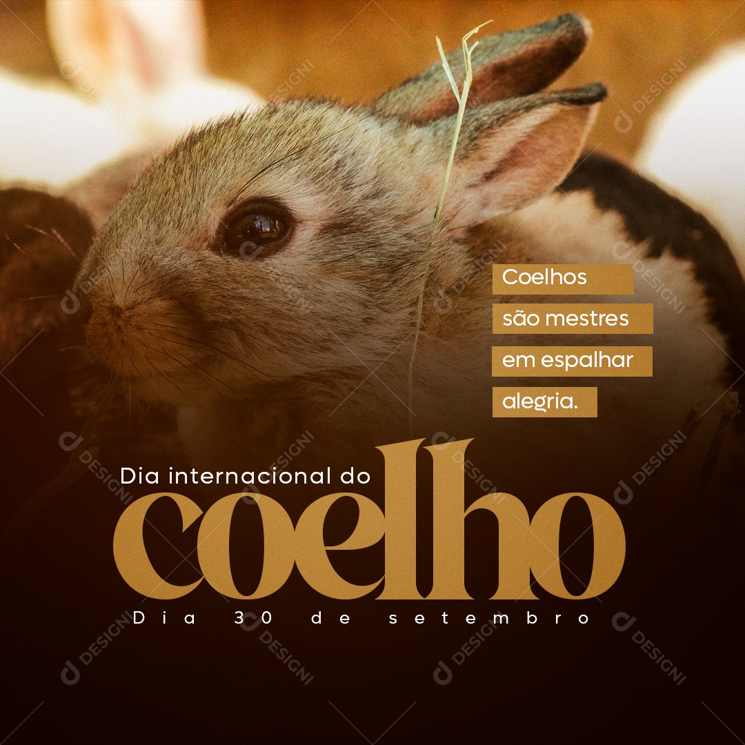 Dia Internacional do Coelho 30 de Setembro Social Media PSD Editável