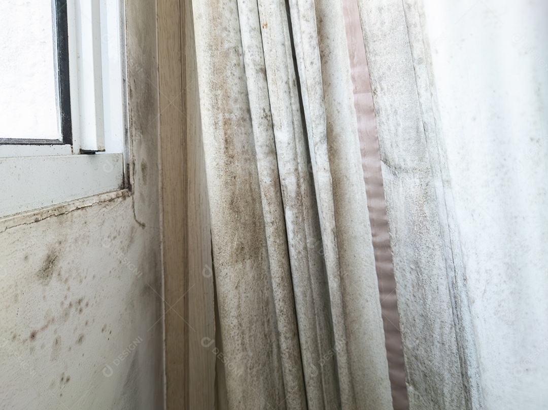 Cortina branca contaminada com mofo e fungos