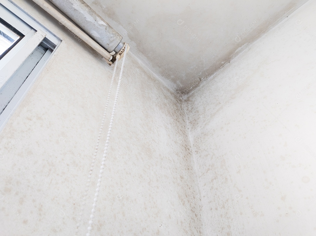 Parede de casa com mofos