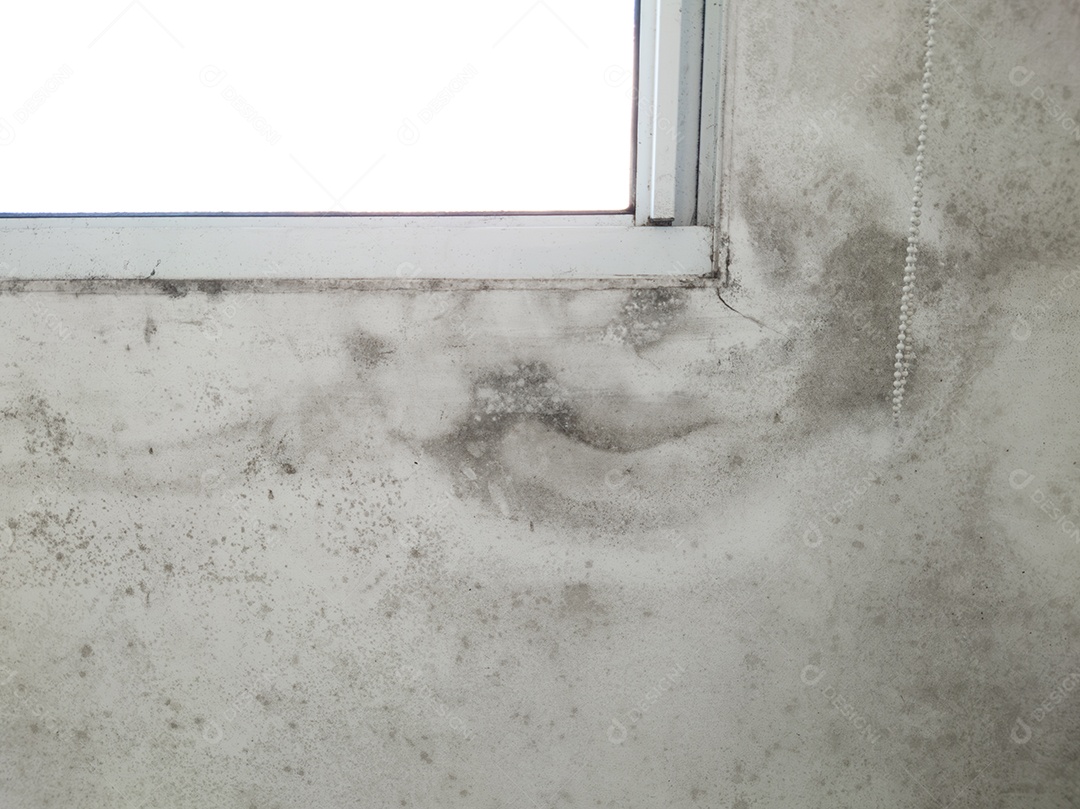 Parede com mofo