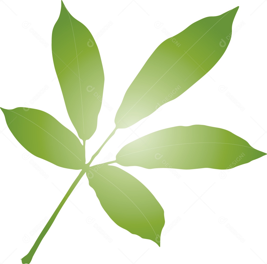 Ramo de Folhas Ilustração Vetor EPS