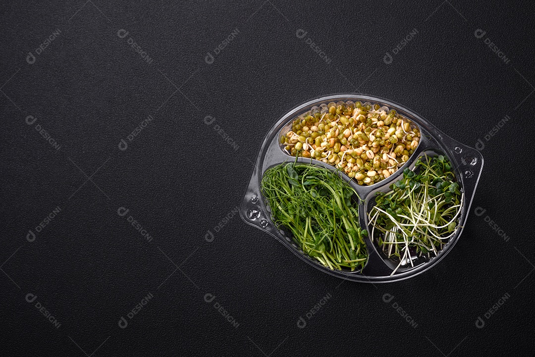 Um conjunto ou mistura de microgreens de ervilha, mostarda e feijão mungo germinado em uma caixa de plástico repartida sobre um fundo escuro de concreto