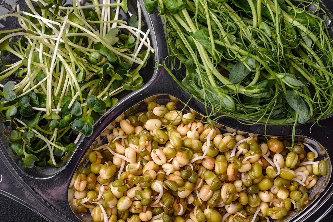 Um conjunto ou mistura de microgreens de ervilha, mostarda e feijão mungo germinado em uma caixa de plástico repartida sobre um fundo escuro de concreto