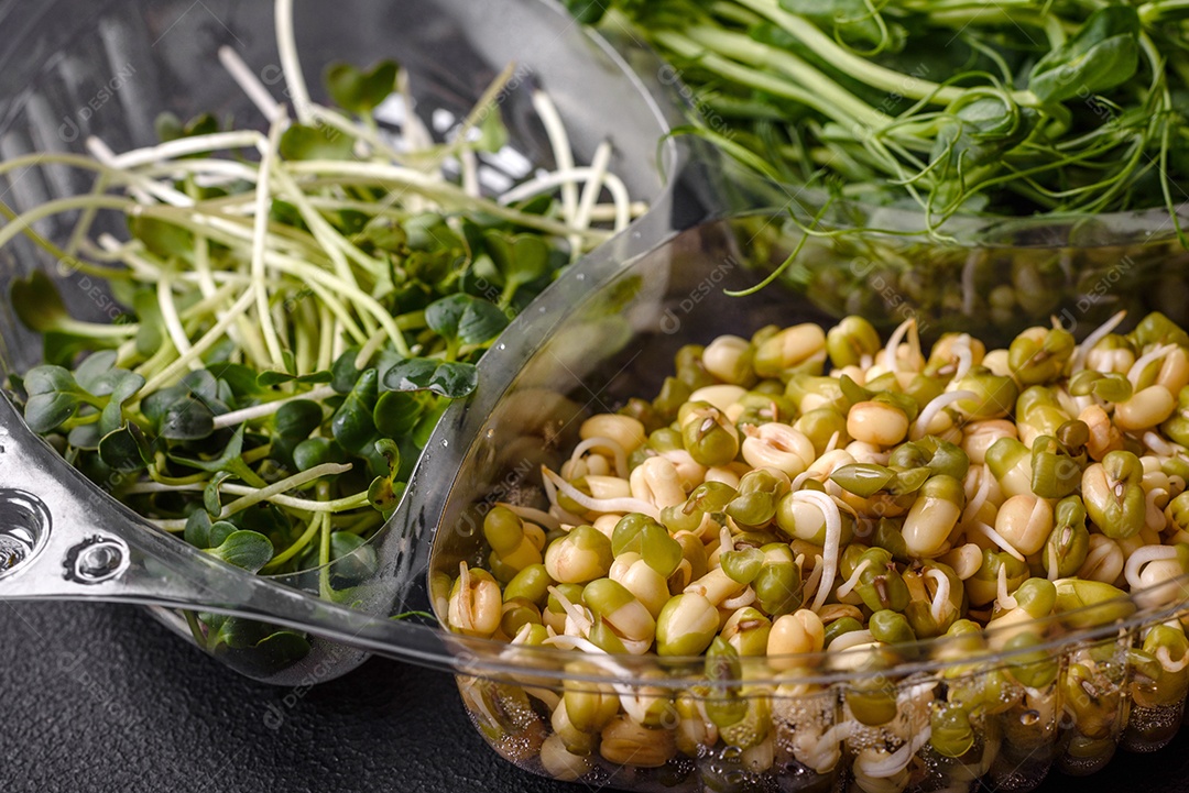 Um conjunto ou mistura de microgreens de ervilha, mostarda e feijão mungo germinado em uma caixa de plástico repartida sobre um fundo escuro de concreto