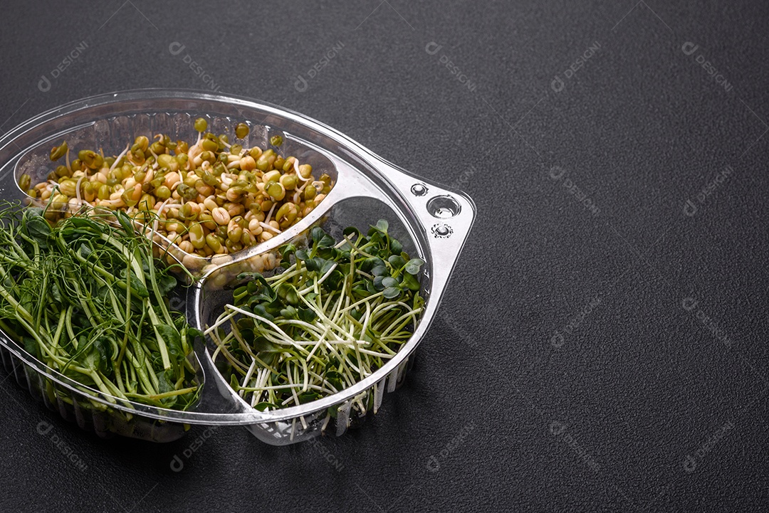 Um conjunto ou mistura de microgreens de ervilha, mostarda e feijão mungo germinado em uma caixa de plástico repartida sobre um fundo escuro de concreto