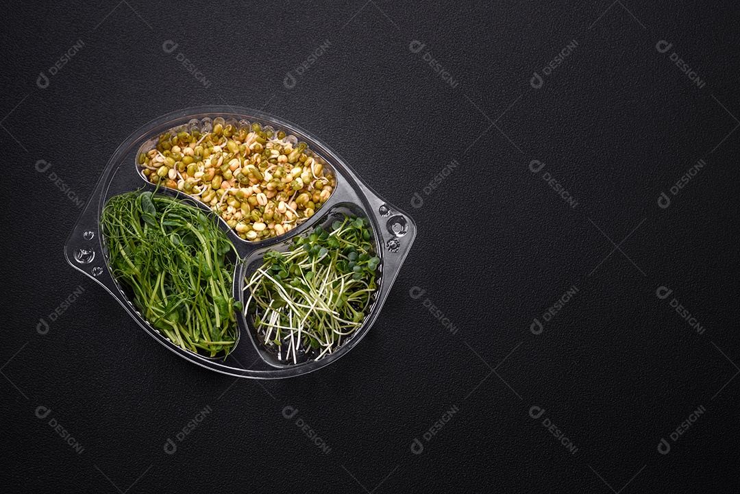 Um conjunto ou mistura de microgreens de ervilha, mostarda e feijão mungo germinado em uma caixa de plástico repartida sobre um fundo escuro de concreto