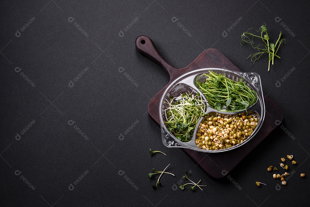 Um conjunto ou mistura de microgreens de ervilha, mostarda e feijão mungo germinado em uma caixa de plástico repartida sobre um fundo escuro de concreto