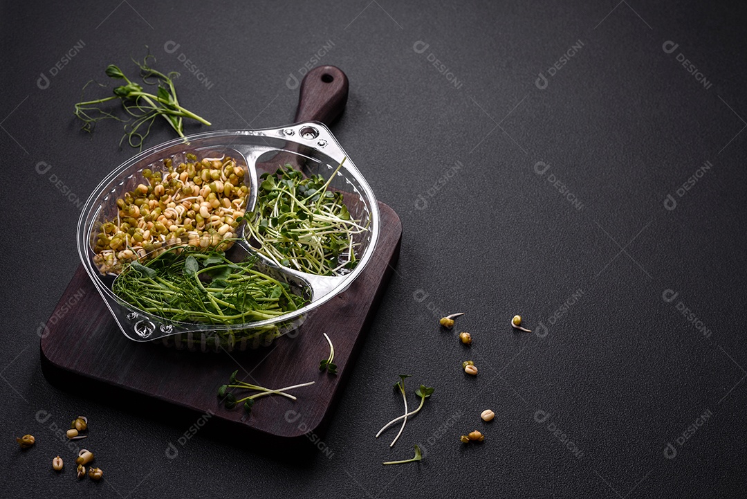 Um conjunto ou mistura de microgreens de ervilha, mostarda e feijão mungo germinado em uma caixa de plástico repartida sobre um fundo escuro de concreto