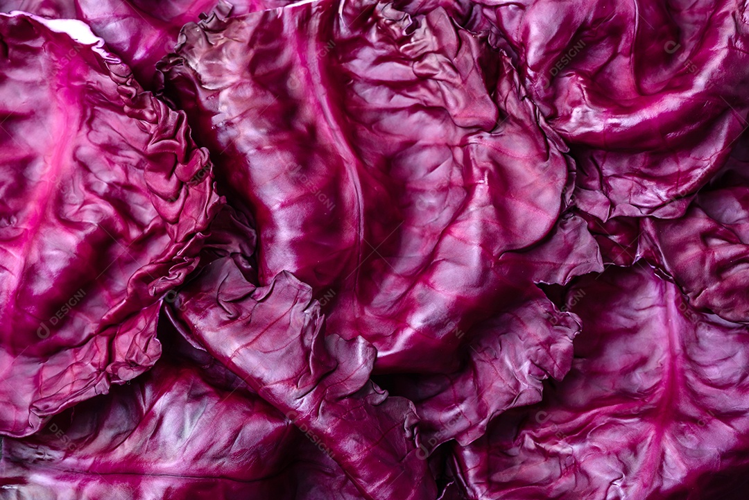 Repolho roxo lindo fresco com folhas texturizadas em um fundo escuro de concreto. Cozinha vegetariana