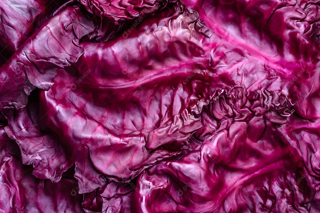 Repolho roxo lindo fresco com folhas texturizadas em um fundo escuro de concreto. Cozinha vegetariana