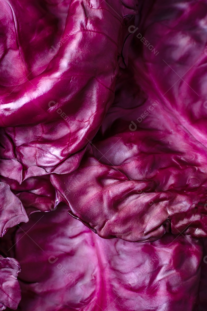 Repolho roxo lindo fresco com folhas texturizadas em um fundo escuro de concreto. Cozinha vegetariana