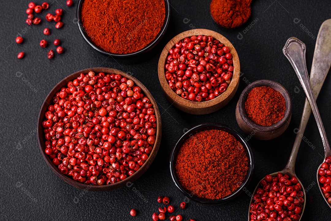 Tempere a páprica defumada em forma de pó em tigelas e colheres sobre um fundo escuro de concreto. Ingredientes da culinária asiática