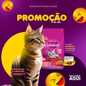 Download de Arquivo