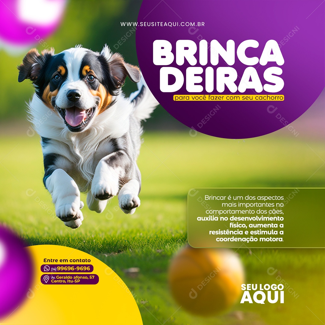 Pet Shop Games for You to Do with Your Dog Social Media PSD Editable