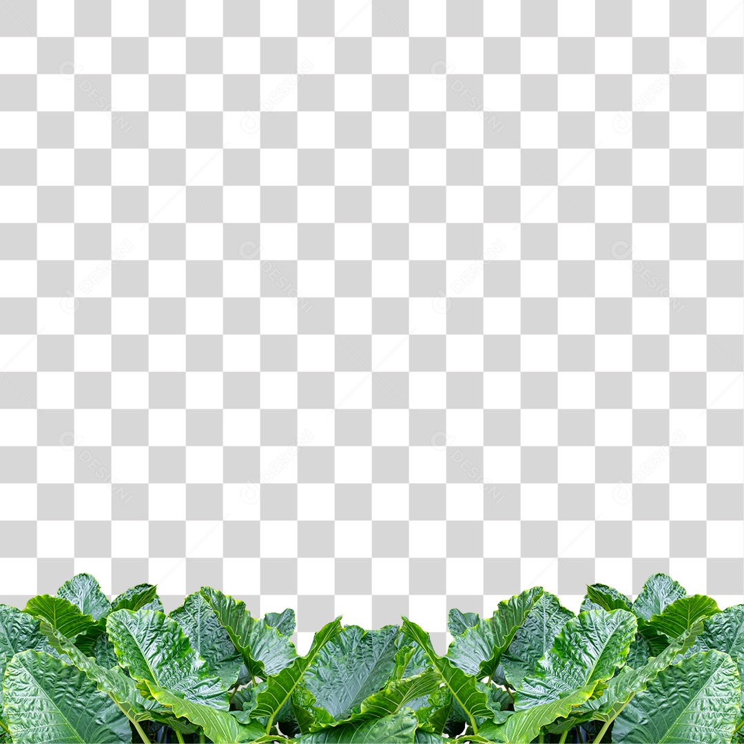 Folhas Verdes PNG Transparente