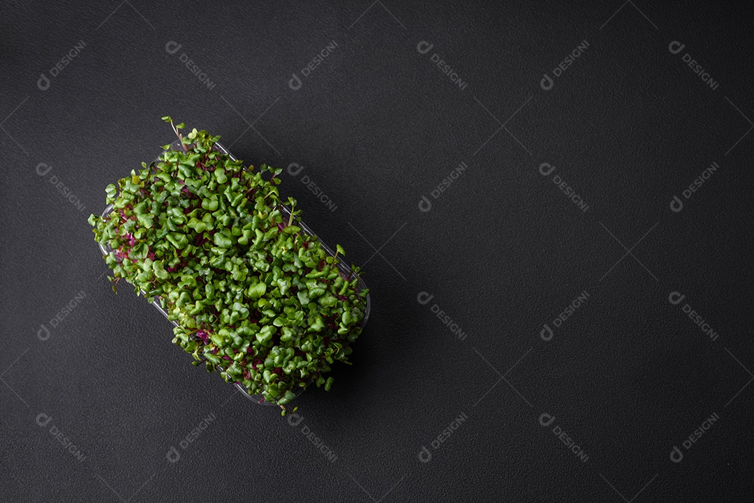 Rabanete microverde fresco em uma caixa de plástico sobre um fundo escuro de concreto. Cultivando plantas em casa