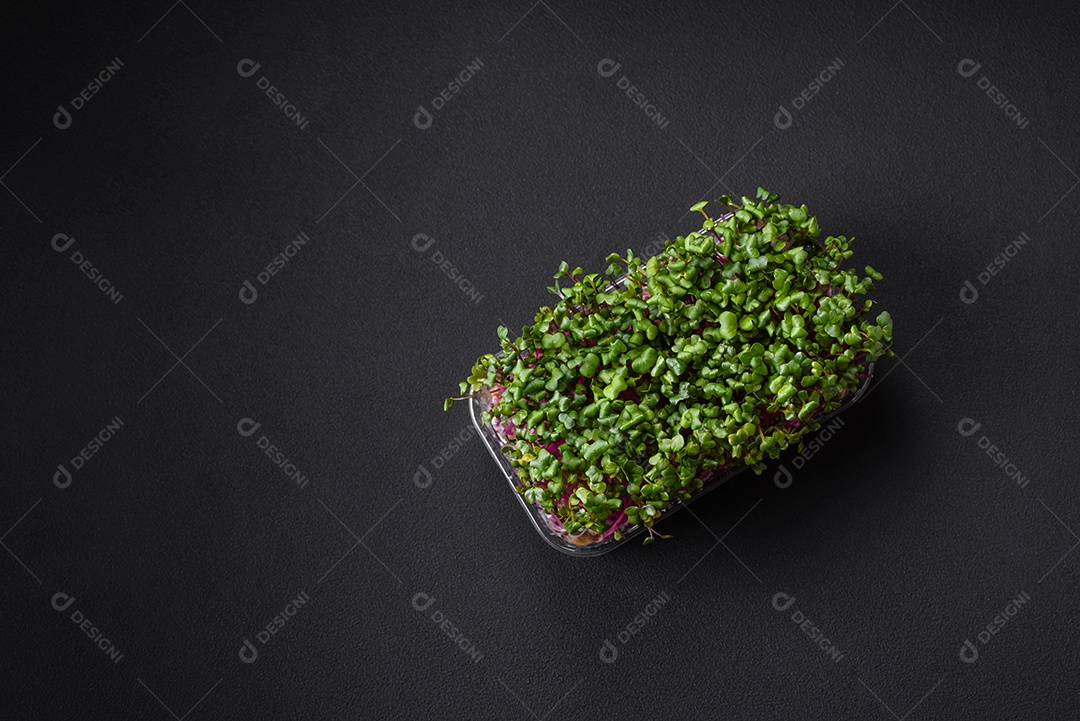 Rabanete microverde fresco em uma caixa de plástico sobre um fundo escuro de concreto. Cultivando plantas em casa