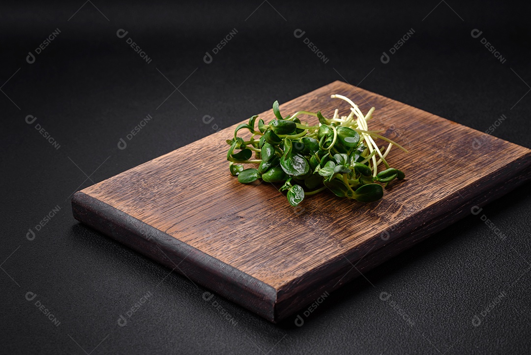 Brotos frescos ou microverdes de girassol em tábua de madeira sobre fundo escuro de concreto