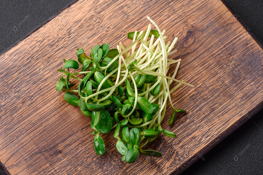 Brotos frescos ou microverdes de girassol em tábua de madeira sobre fundo escuro de concreto