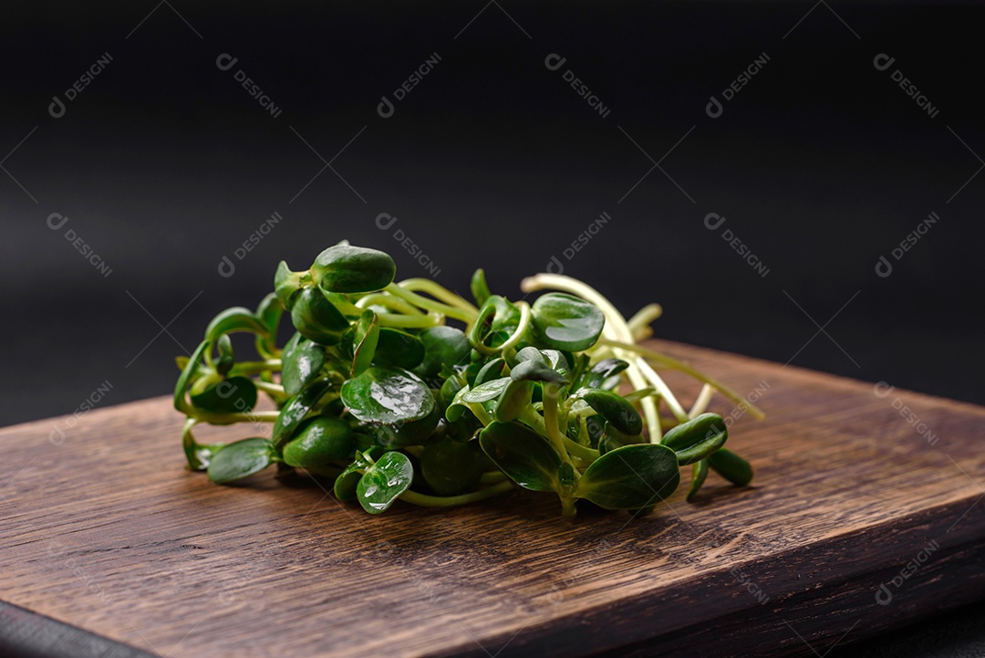 Brotos frescos ou microverdes de girassol em tábua de madeira sobre fundo escuro de concreto