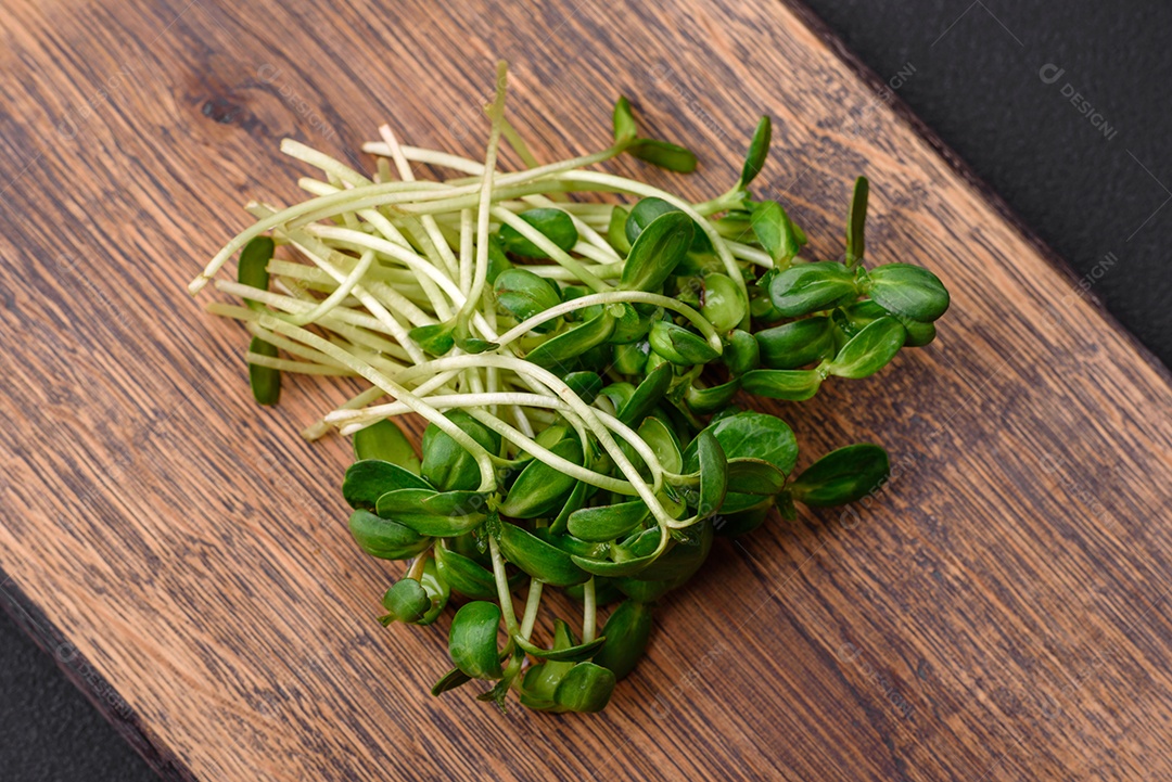 Brotos frescos ou microverdes de girassol em tábua de madeira sobre fundo escuro de concreto