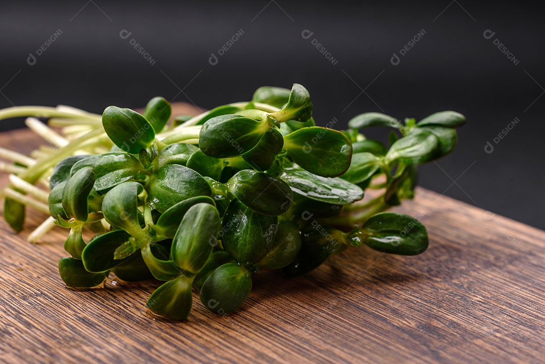 Brotos frescos ou microverdes de girassol em tábua de madeira sobre fundo escuro de concreto