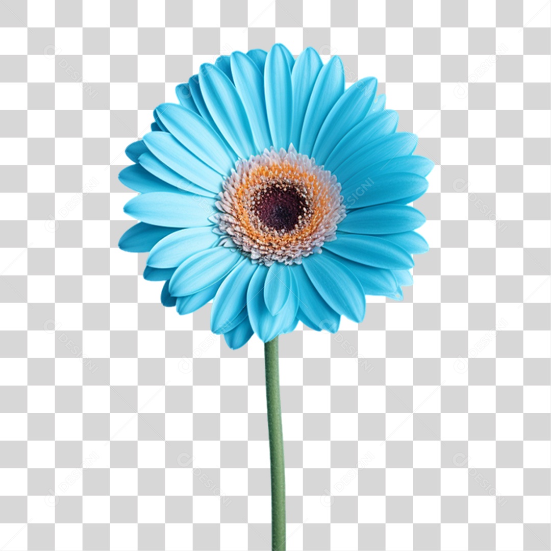 Flor Azul Para Conscientização Novembro Azul PNG Transparente