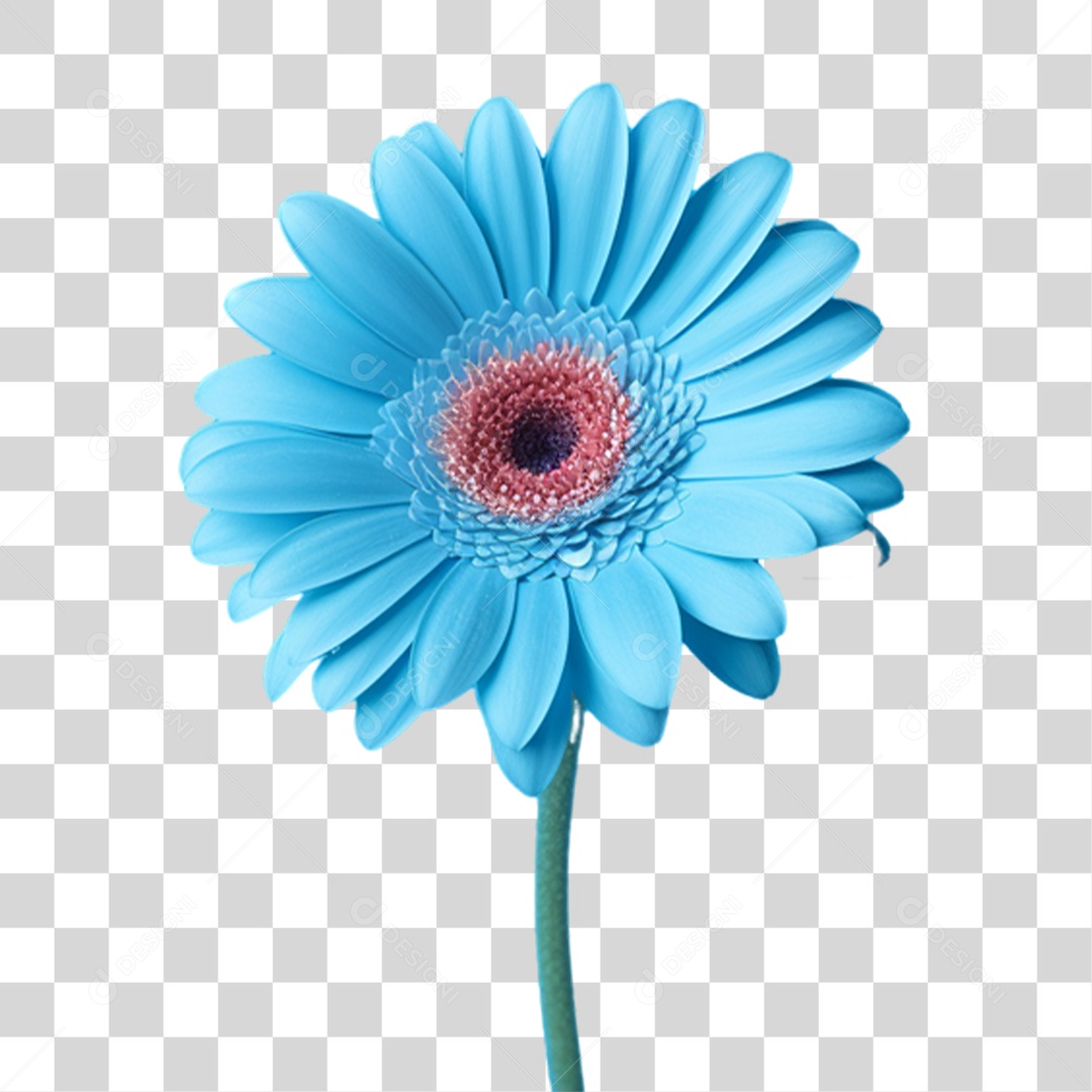 Flor Azul Para Conscientização Novembro Azul PNG Transparente