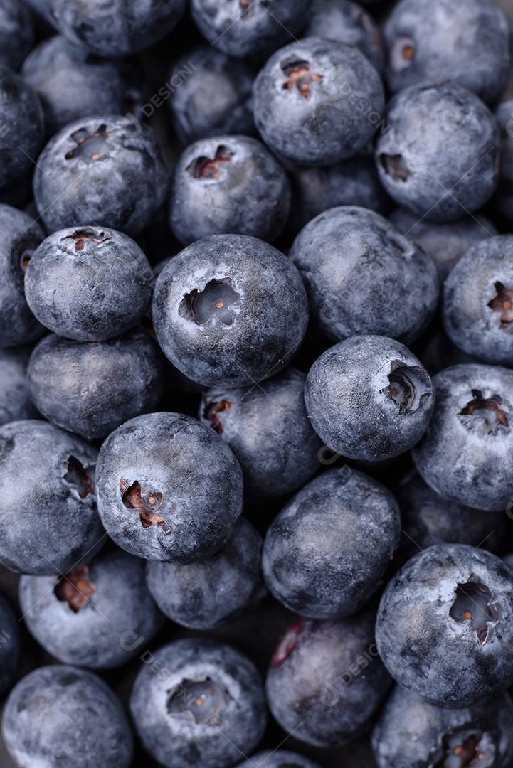 Deliciosos mirtilos frescos em um fundo de concreto preto textural. Colhendo frutas da estação