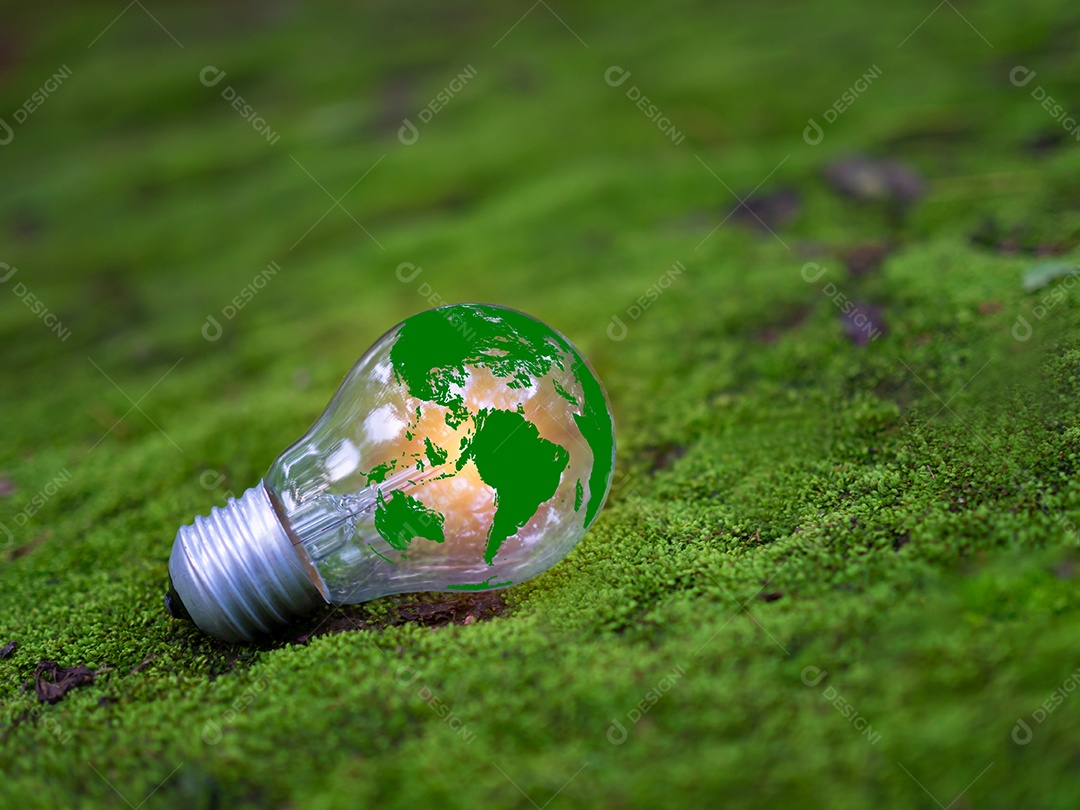 Conceito de energia renovável, proteção ambiental e fontes de energia renováveis ​​sustentáveis.