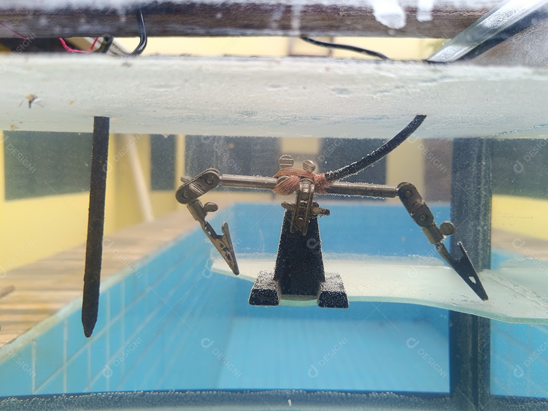 Aquário com itens de metal submetidos a eletrólise para remover ferrugem