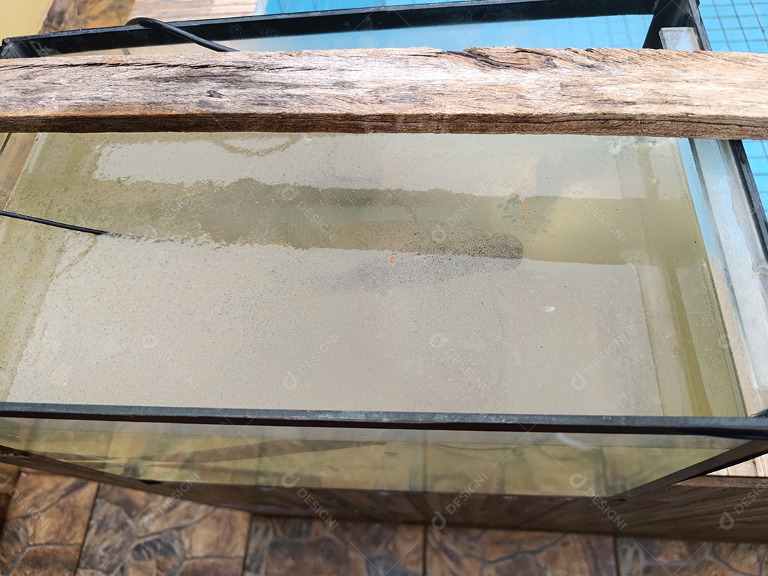 Superfície da água no aquário com bolhas e ferrugem devido a um processo experimental de eletrólise para remover ferrugem de metais