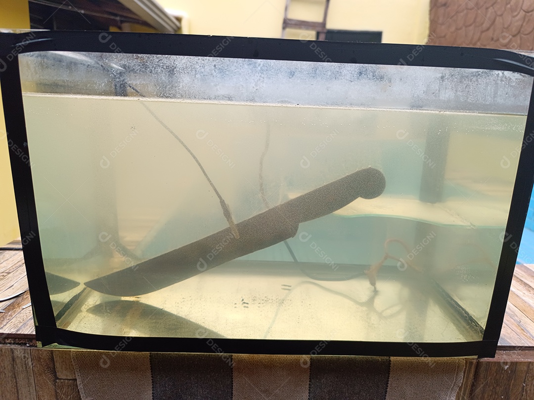 Aquário com facão passando por processo de eletrólise para remover ferrugem