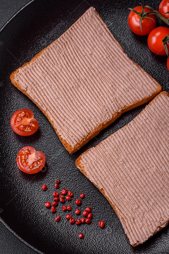 Deliciosa torrada crocante com frango ou patê de ganso com sal e especiarias sobre um fundo escuro de concreto