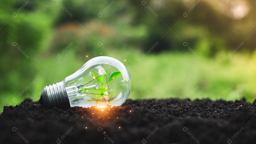 Conceito de energia renovável, proteção ambiental e fontes de energia renováveis ​​sustentáveis. As plantas crescem em lâmpadas colocadas na superfície do solo e têm um fundo verde natural.