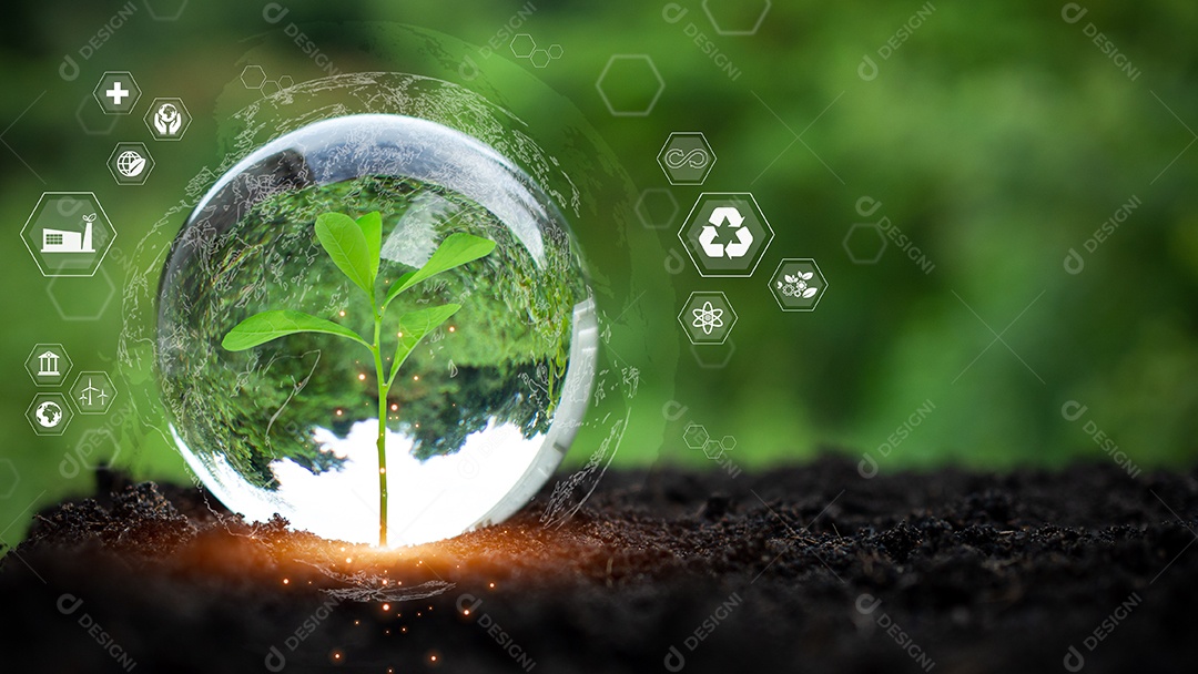 Conceito de energia renovável, proteção ambiental e fontes de energia renováveis ​​sustentáveis. árvore em cristal é colocada no solo e tem fundo verde natural.