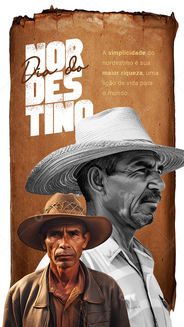 Story Dia do Nordestino 08 de Outubro a Simplicidade é a sua Maior Riqueza Social Media PSD Editável