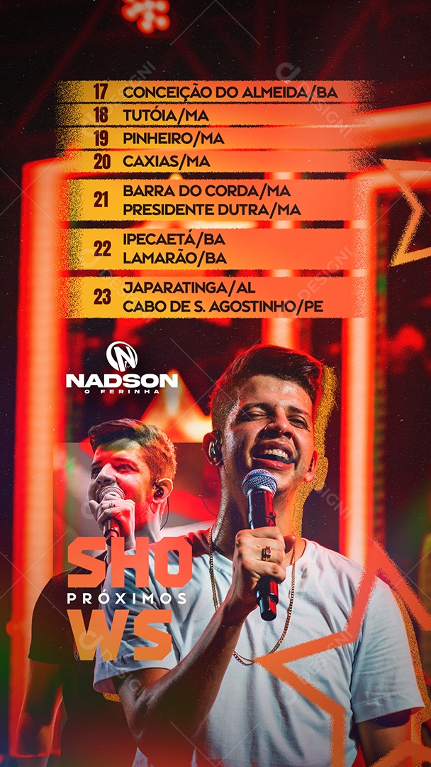 Flyer Story Próximos Shows Nadson o Ferinha Social Media PSD Editável