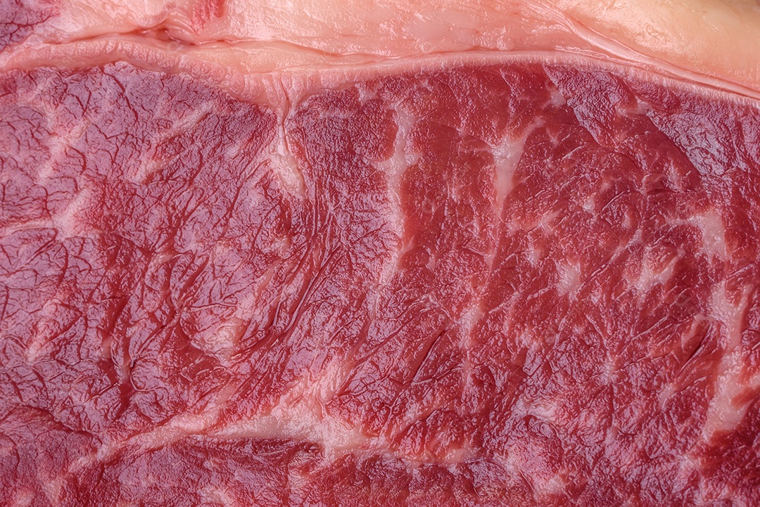 Bife de carne crua fresca com sal, especiarias e ervas sobre um fundo escuro de concreto