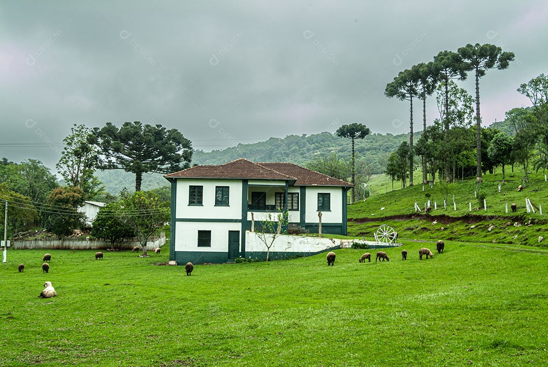 Linda fazenda deserta