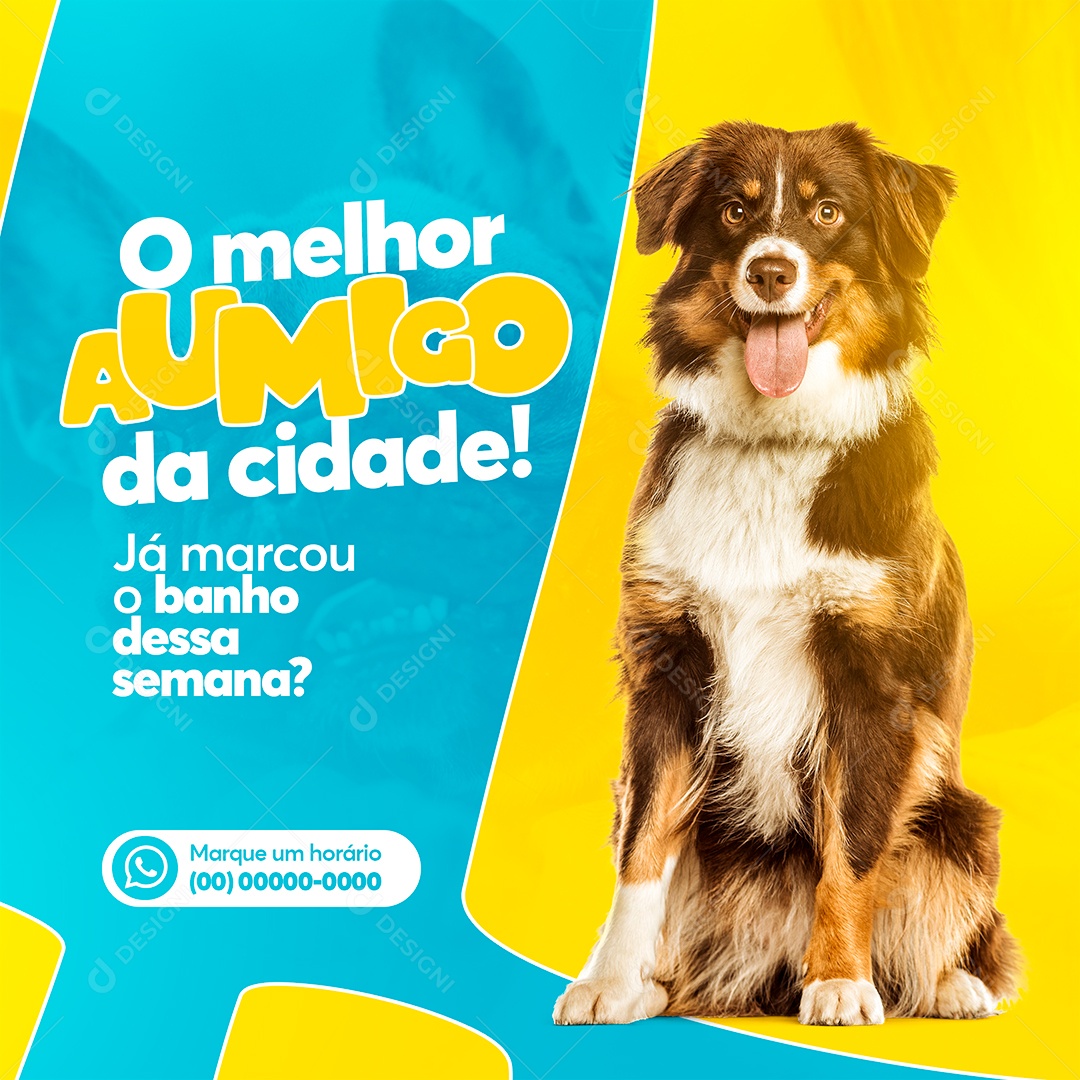 Pet Shop o Melhor  Amigo da Cidade ja Marcou o Banho dessa Semana Social Media PSD Editável
