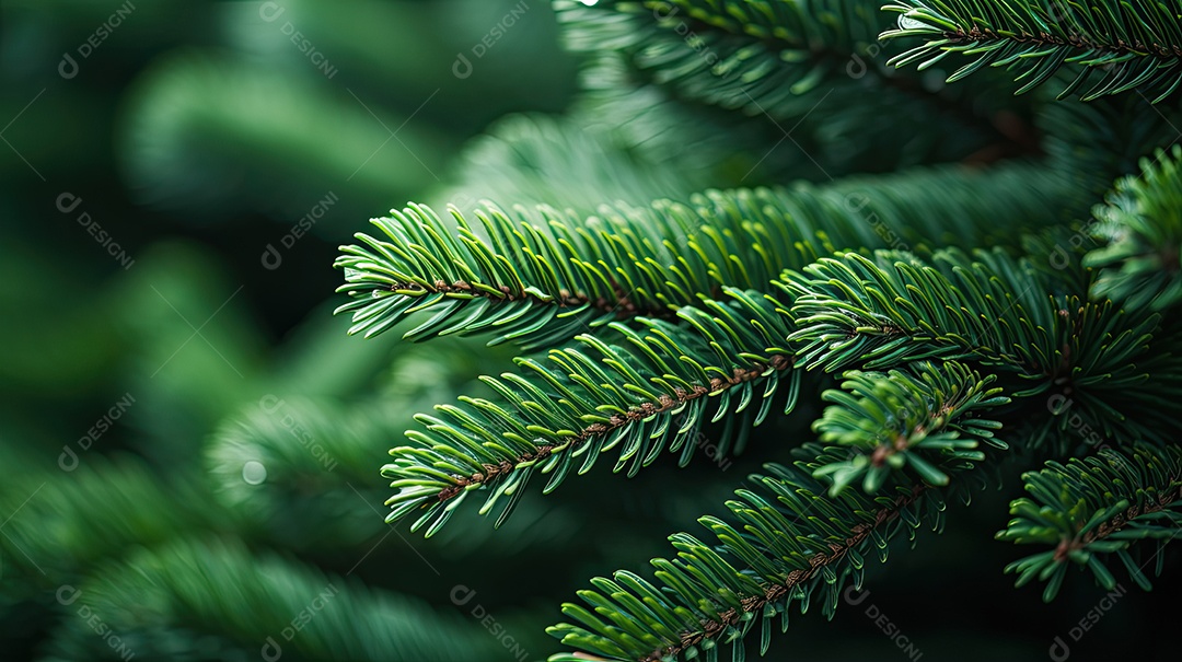 Fundo da árvore de natal