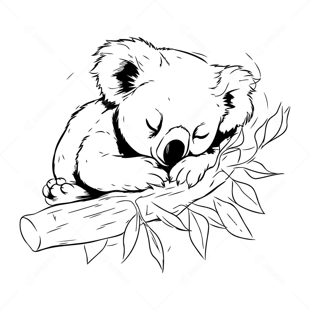 Coala Desenho Para Colorir Vetor EPS