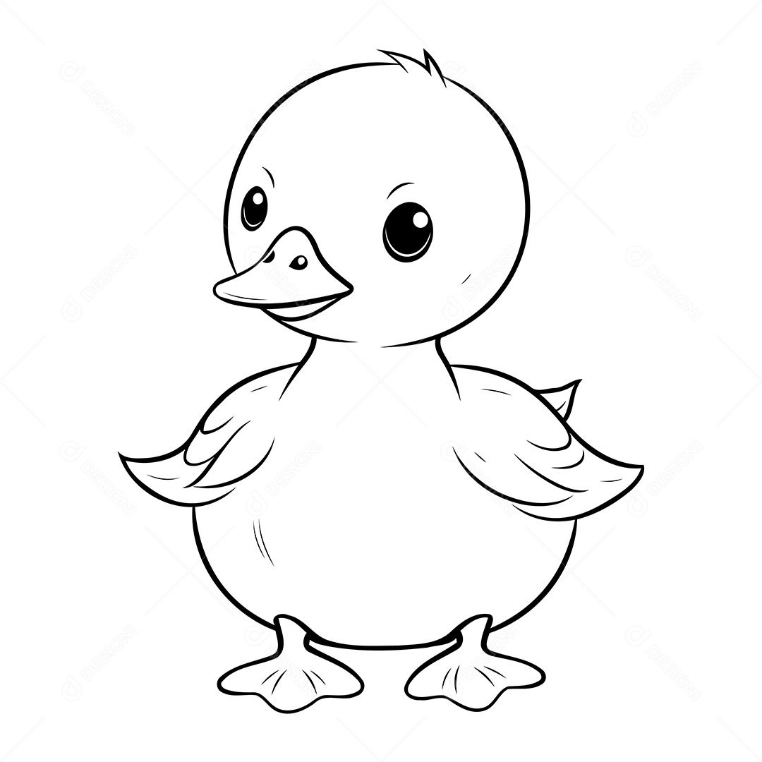Pato Desenho Para Colorir Vetor EPS