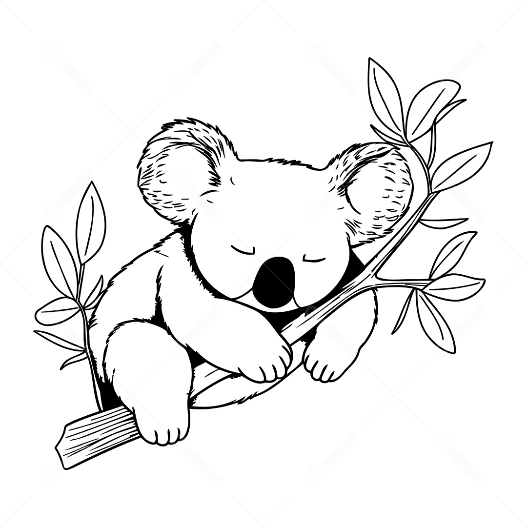 Coala Desenho Para Colorir Vetor EPS