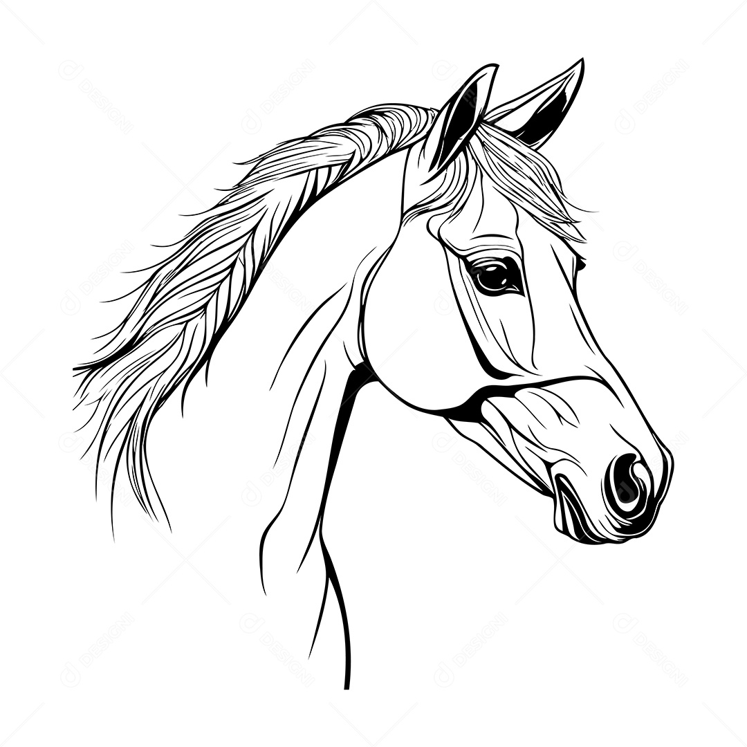 Cavalo Desenho Para Colorir Vetor EPS