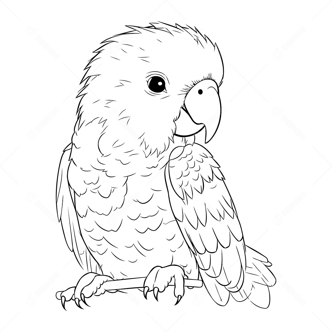 Macaco Desenho Para Colorir Vetor EPS