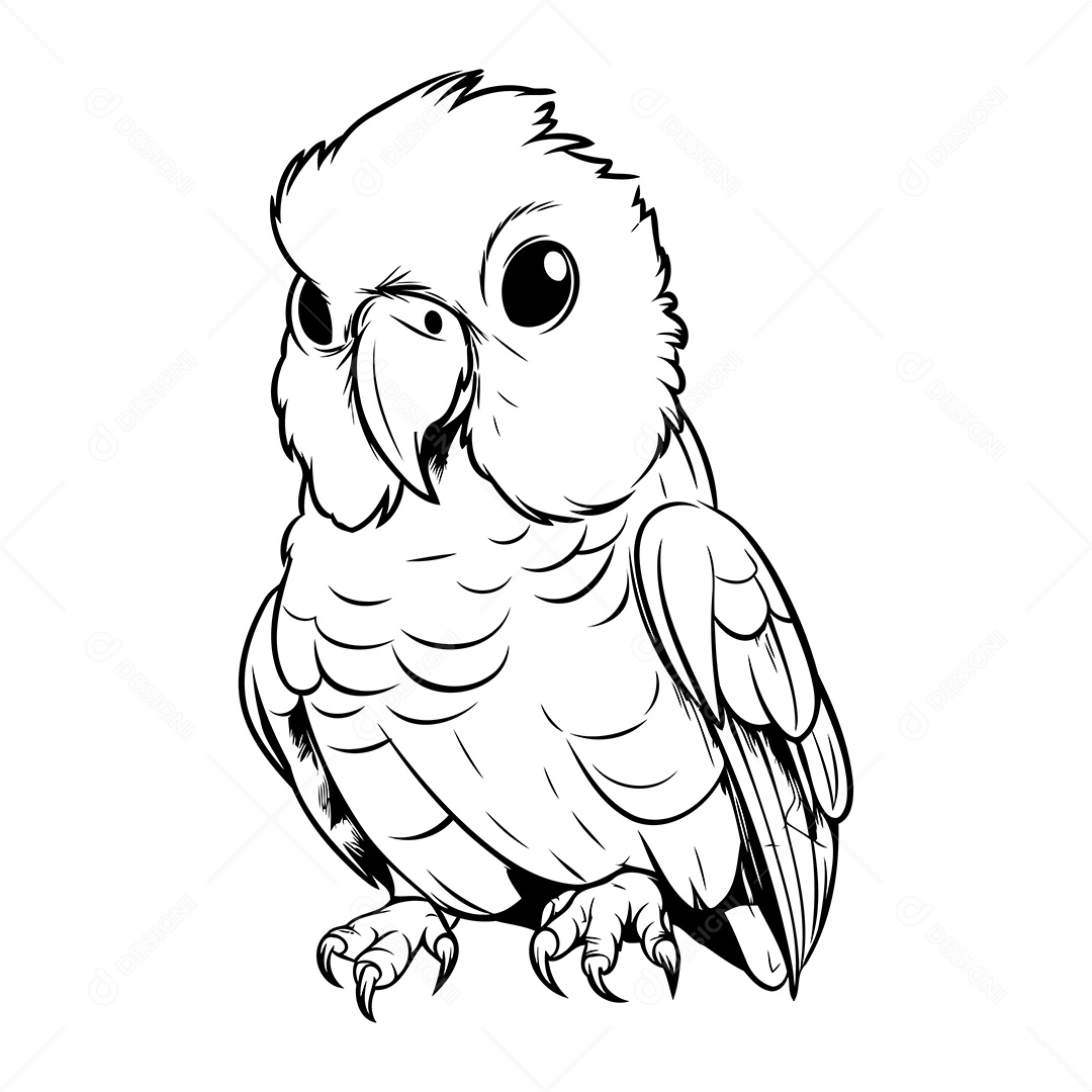 Pássaro Desenho Para Colorir Vetor EPS