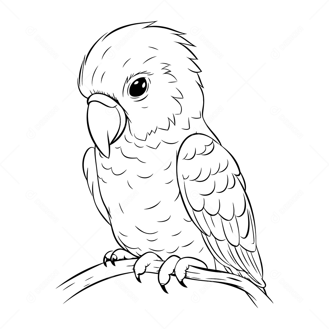 Pássaro Desenho Para Colorir Vetor EPS