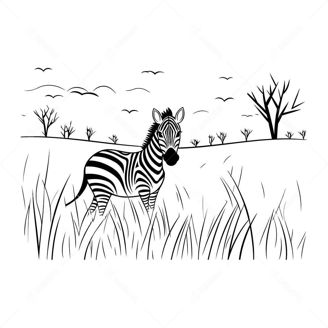 Zebra Desenho Para Colorir Vetor EPS